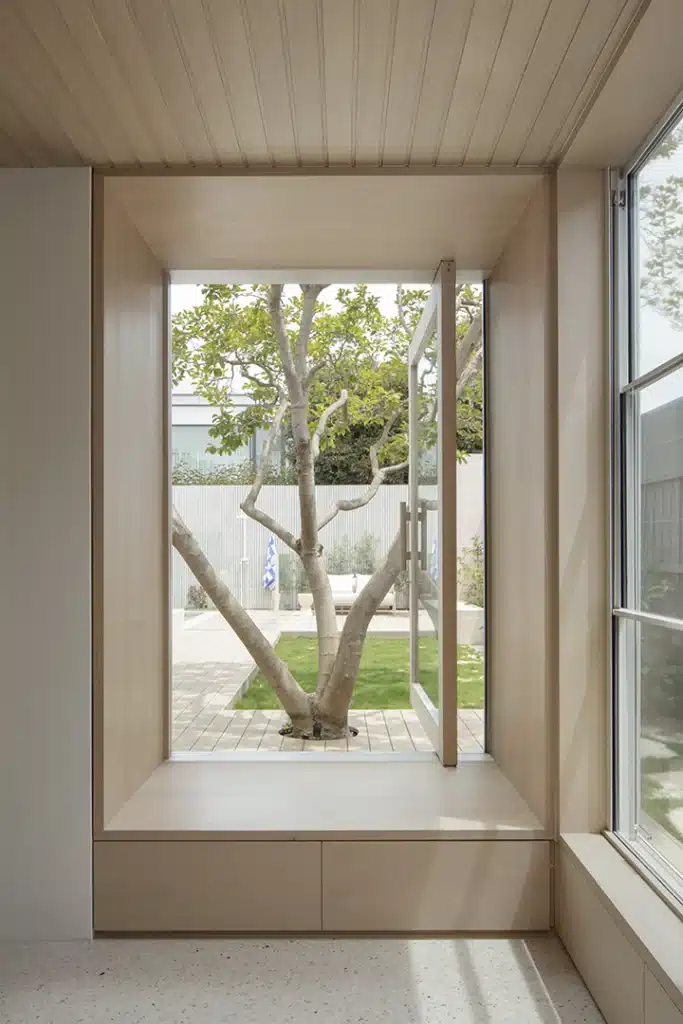 Contemporary residence featuring TimberTech Landmark Collection French White Oak decking beneath a mature magnolia tree.